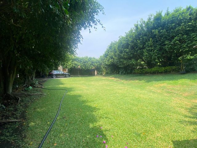 place photo 42