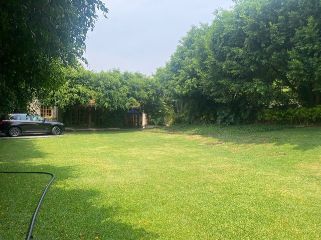 place photo 38
