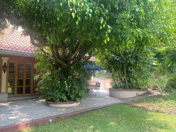 place photo 34