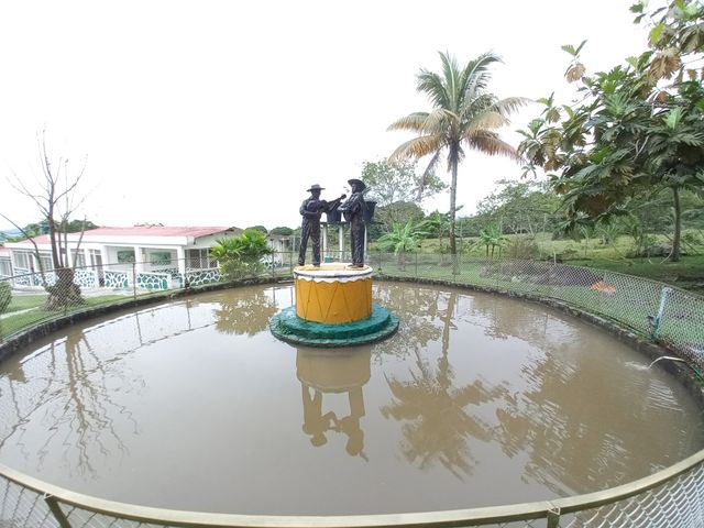 place photo 29