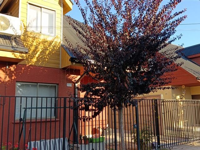 place photo 35
