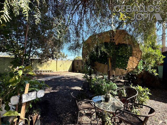 place photo 28