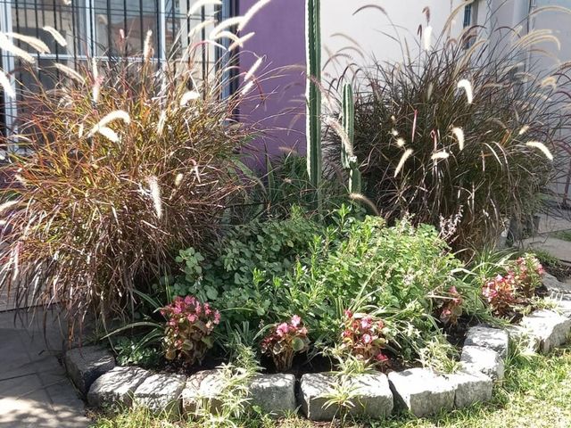 place photo 31