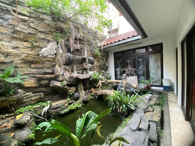 place photo 26