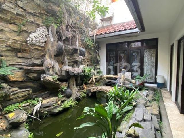 place photo 27