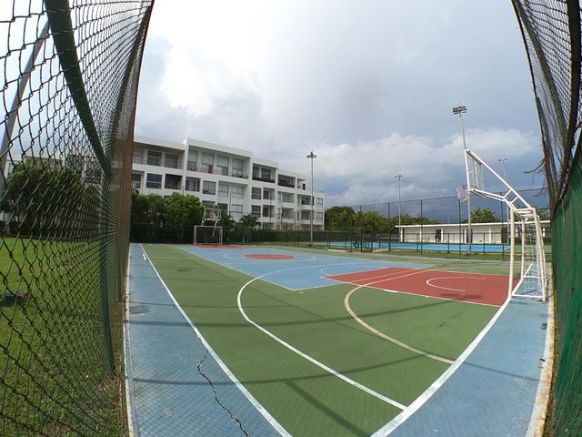 place photo 26