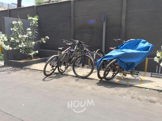 place photo 28