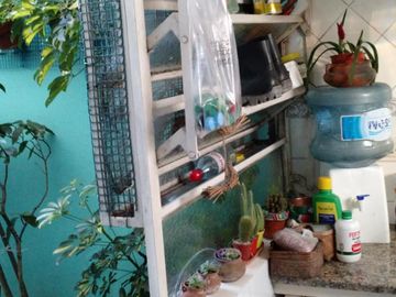 place photo 38