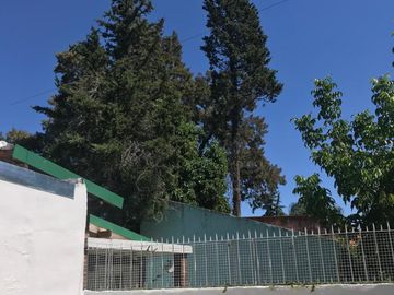 place photo 21