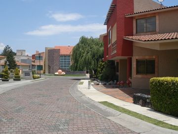place photo 39