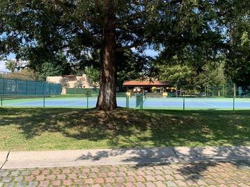 place photo 33