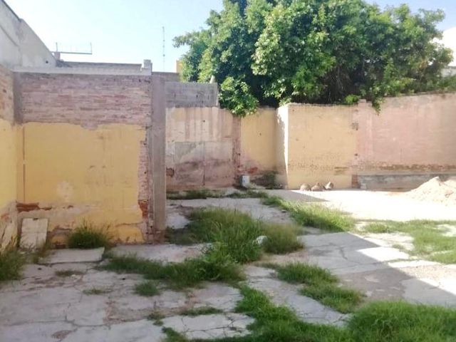 place photo 17