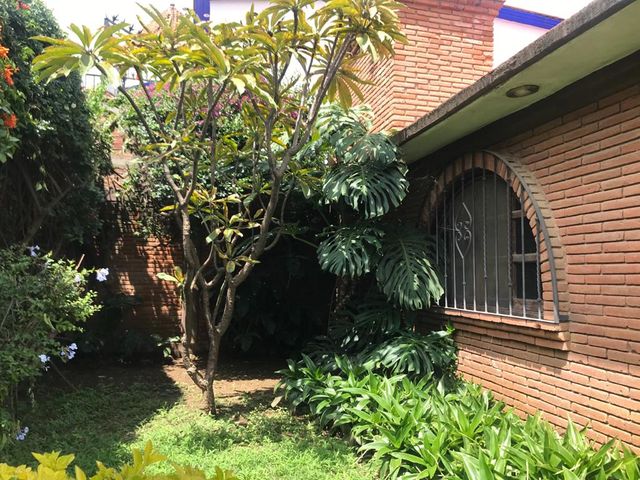 place photo 24