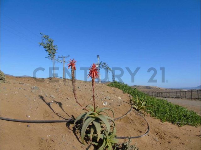 place photo 22