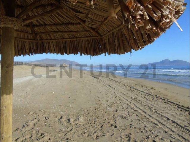place photo 16
