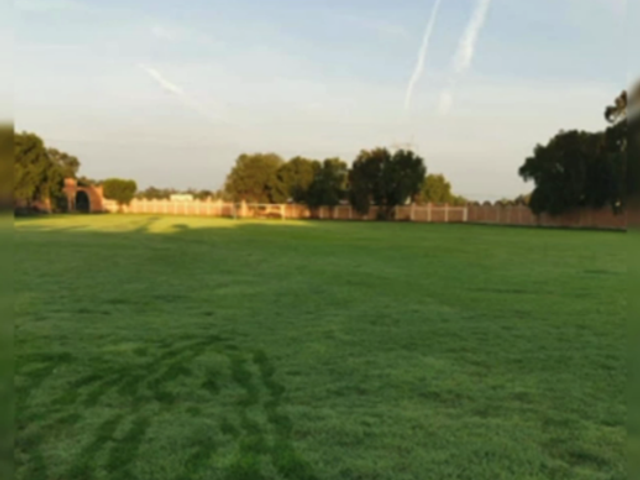 place photo 11