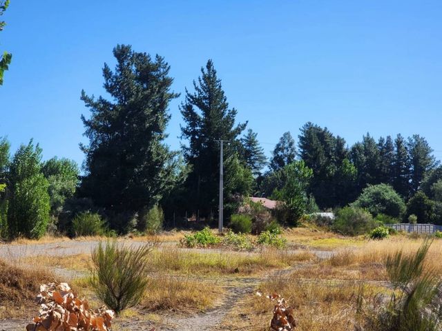 place photo 23