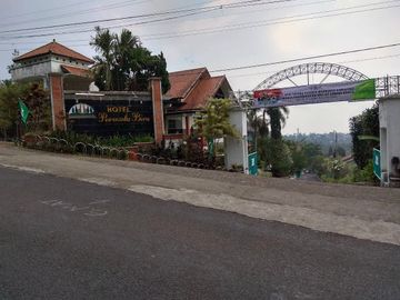 place photo 4