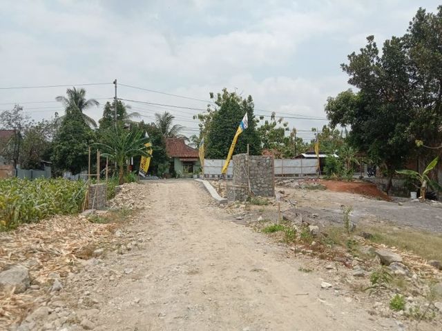 place photo 8