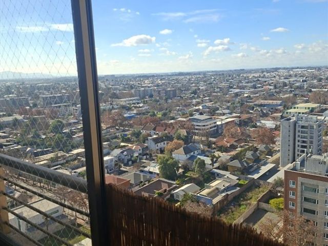 place photo 23