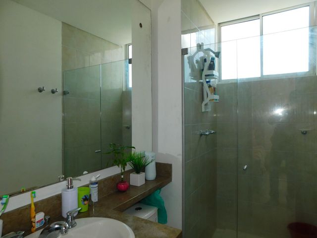 place photo 24