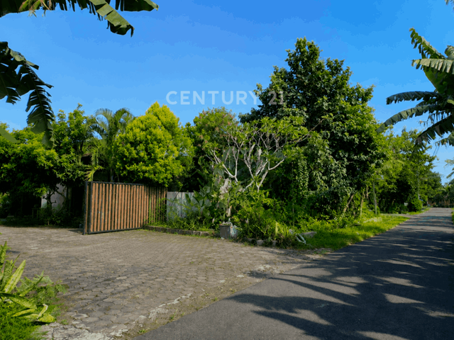 place photo 10