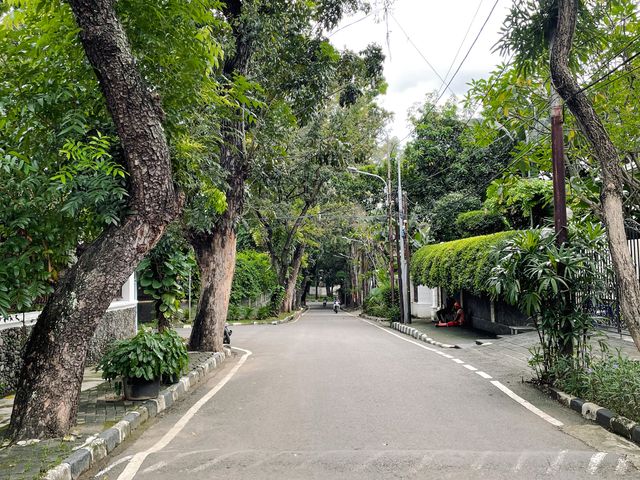 place photo 20