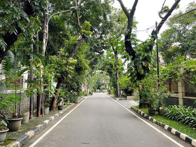 place photo 19