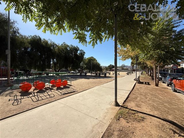 place photo 21