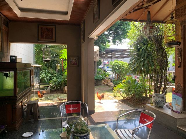 place photo 13