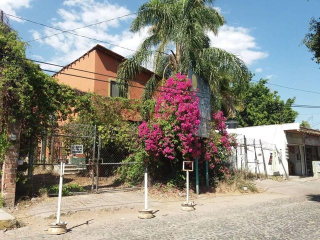 place photo 19