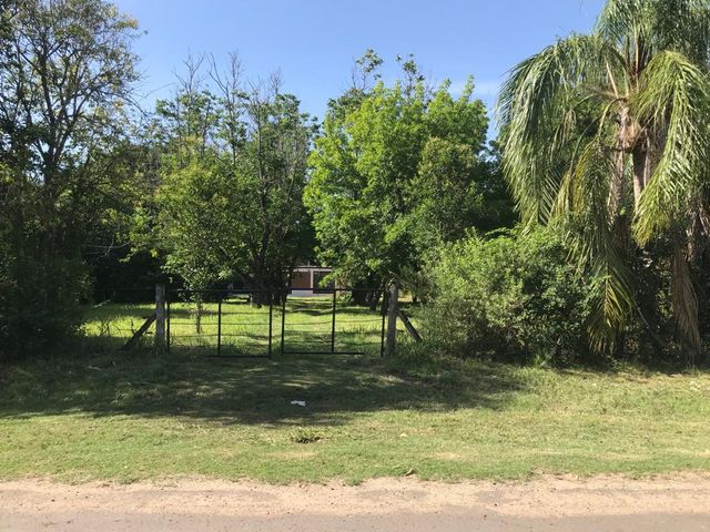 place photo 12
