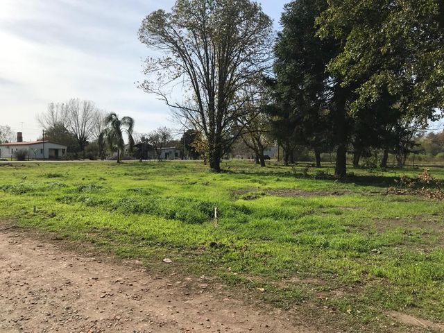 place photo 11