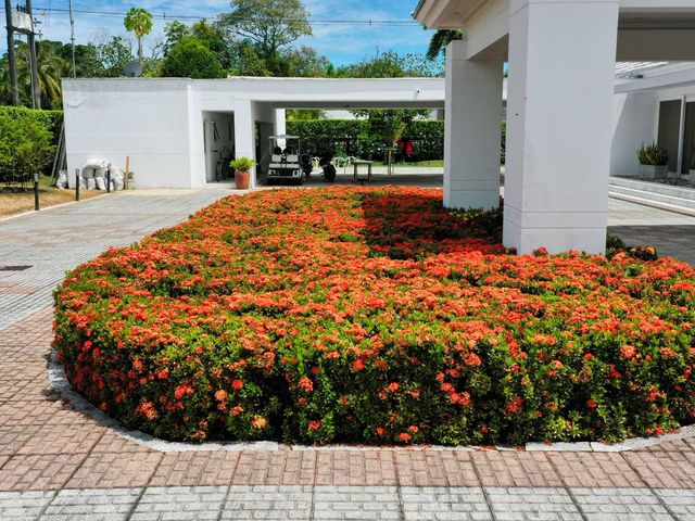 place photo 34