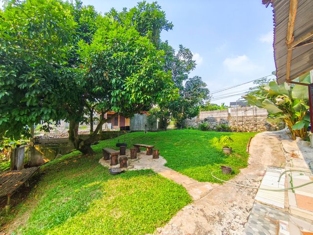 place photo 48