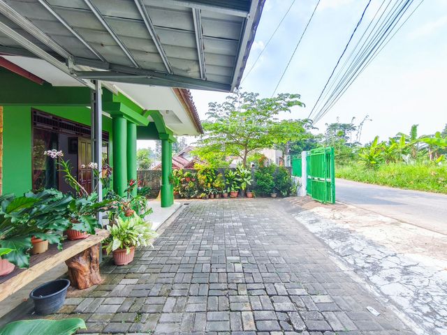 place photo 57