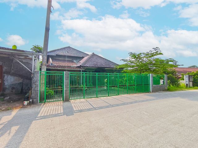 place photo 61