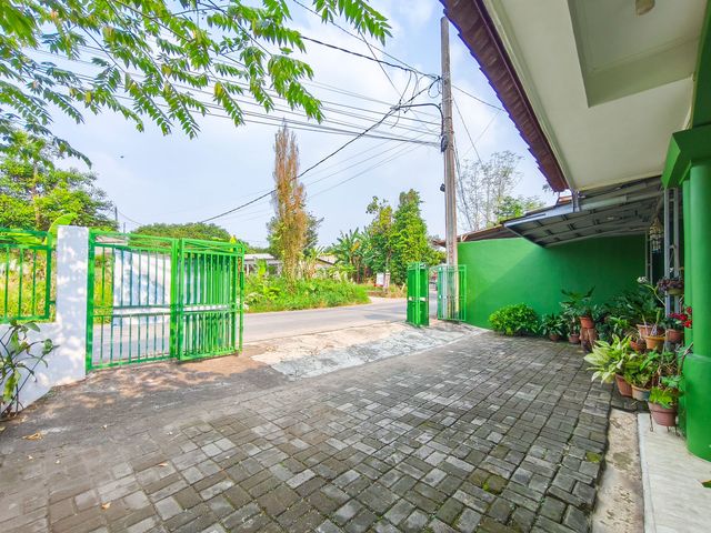 place photo 59