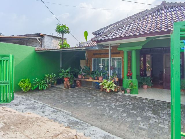 place photo 56