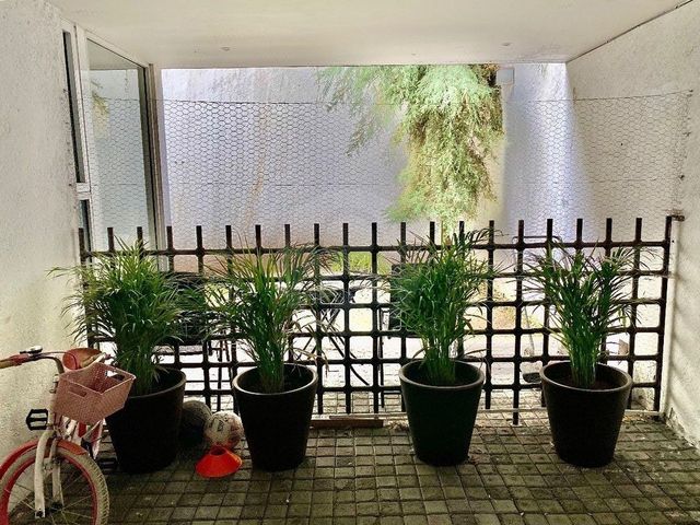 place photo 32