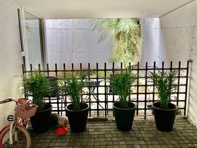 place photo 32