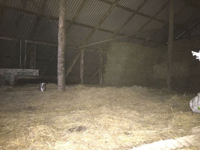 place photo 23