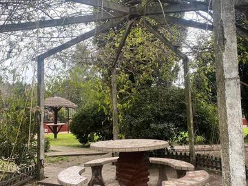 place photo 42