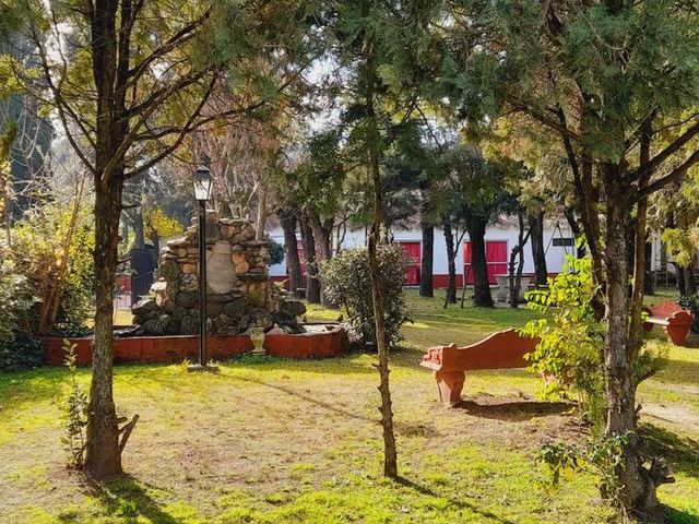 place photo 45