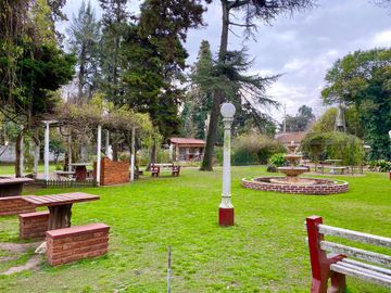 place photo 16