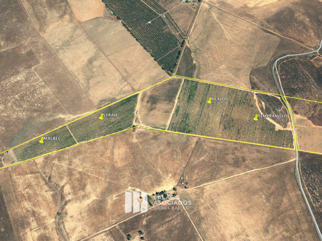 place photo 6