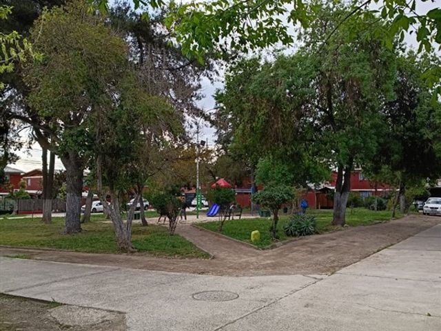 place photo 27