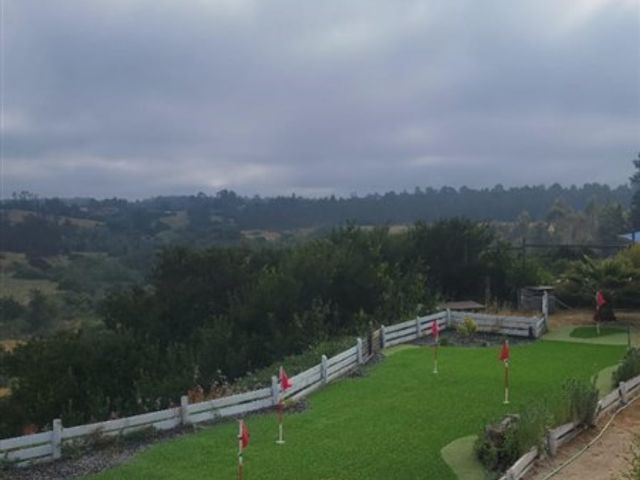 place photo 40