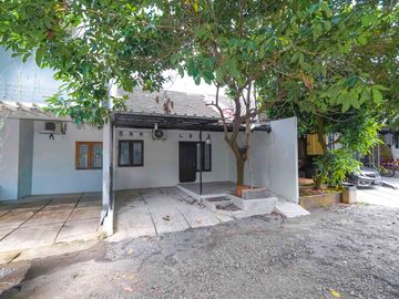 place photo 22