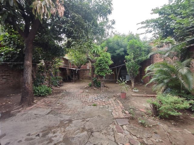 place photo 12